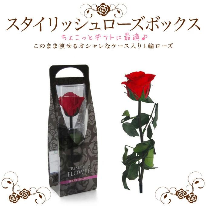 プリザーブドフラワーIPFA プリザーブドフラワー ギフト