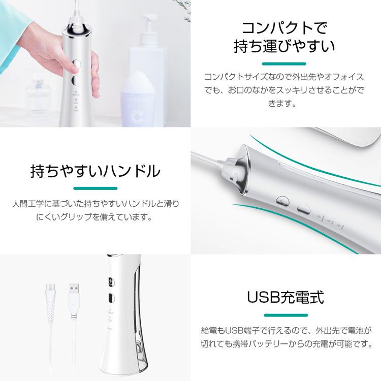 ジェット水流洗浄機付き電動歯ブラシ 口腔洗浄器 ウォーターピック ジェットウォッシャー 歯ブラシ Ipx7防水