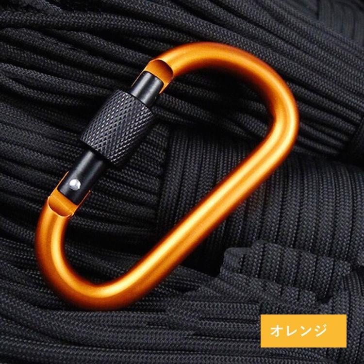 カラビナ 登山 キャンプ アウトドア 旅行用品 釣り ペツル