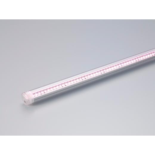 DNライティング CLED2-681ALP LEDモジュール