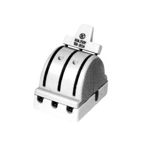 河村電器 CS 3P30A DT カバースイッチ　CS-DT | 