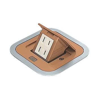 パナソニック DU1300AK 住宅用F型アップコン角型 2コ口 バーチ 2P 15A 125V | Panasonic