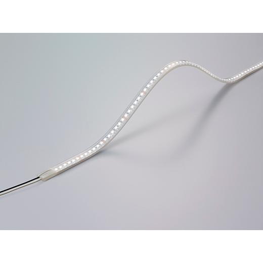 DNライティング FX50-LED2250N-WP 軒下用LEDモジュール