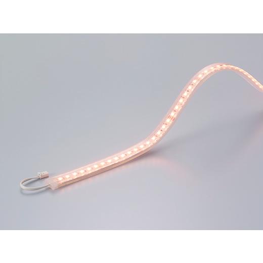 【受注品】DNライティング FX50-LED2550HL22 LEDモジュール