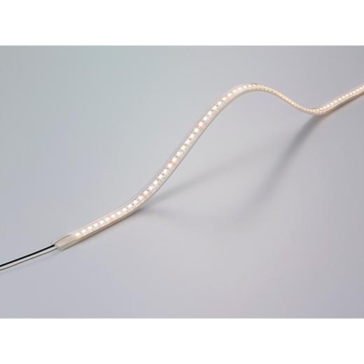 DNライティング FX50-LED2550WW-WP 軒下用LEDモジュール