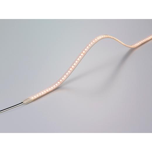 DNライティング FX50-LED2800L24-WP 軒下用LEDモジュール