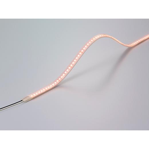 【受注品】DNライティング FX50-LED4050HL22-WP 軒下用LEDモジュール