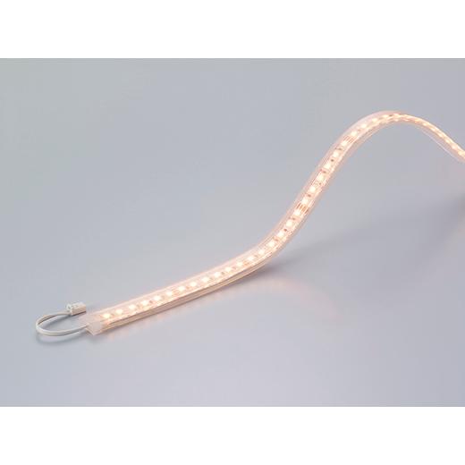 DNライティング FX50-LED4200L24 LEDモジュール