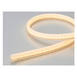 DNライティング FXA-S9-1402L31-WPS 屋外用LEDモジュール