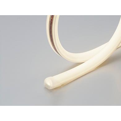 【受注品】DNライティング FXA-T28-2401W38-WP 屋外用LEDモジュール