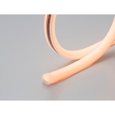 DNライティング FXA-T28-4862L22-WP 屋外用LEDモジュール