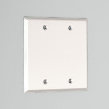 アメリカン電機 K42S ステンレスプレ-ト ブランク2ケ用 | 