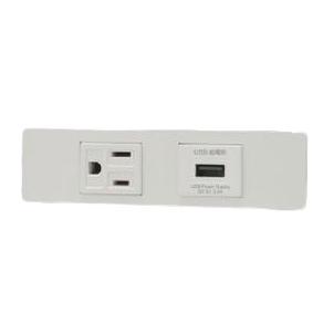 神保電器 KAG-2611 NKシリーズ 接地コンセント＋USBコンセントセット ピュアホワイト (PW) | 