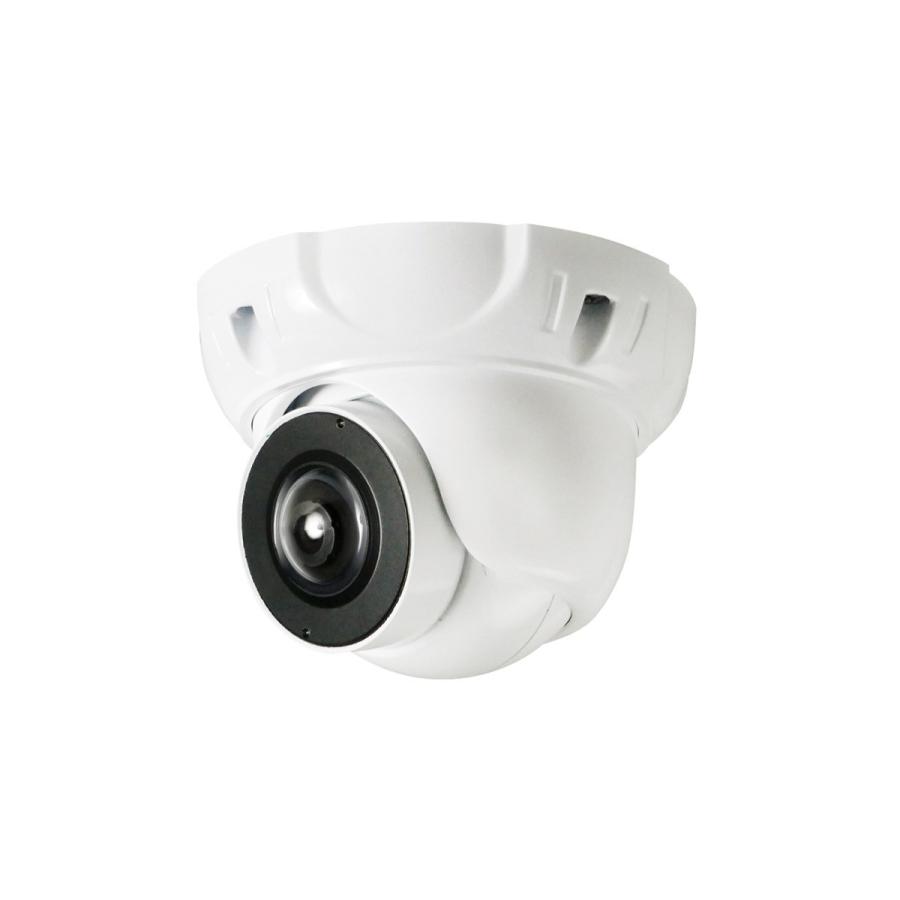 日本防犯システム Pf Ahd601 Ahd対応2 2メガピクセル 180度パノラマカメラ Pf Ahd601 Ipx 通販 Yahoo ショッピング