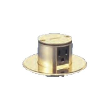 寺田電機 TFB50113　 上下動 P=66.7 ゴールド 接地2P15A125V×2 | 