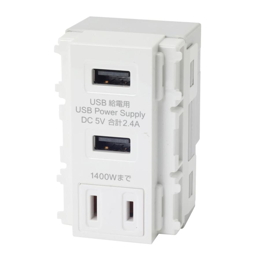 寺田電機 USB-R3702W 埋込USB+AC給電コンセント ホワイト | 