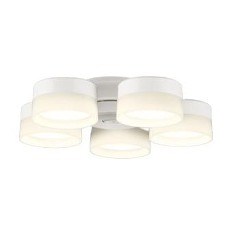 オーデリック WF258PR シーリングファン | ODELIC