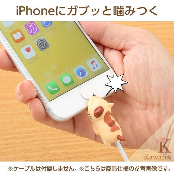 ケーブルバイト エリマキトカゲ 動物 Iphone ケーブル保護 断線防止 第