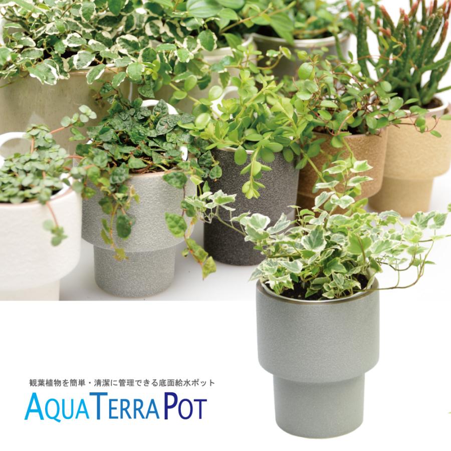 観葉植物 底面給水 アクアテラポット リムモダン 13 5タイプ Atprimmodern13 5 花みどりマーケット Lifestyle 通販 Yahoo ショッピング