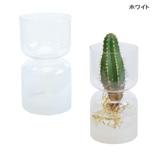 サボテン 水耕栽培 カラーグラス水耕サボテンs Id 8066 花みどりマーケット Lifestyle 通販 Yahoo ショッピング