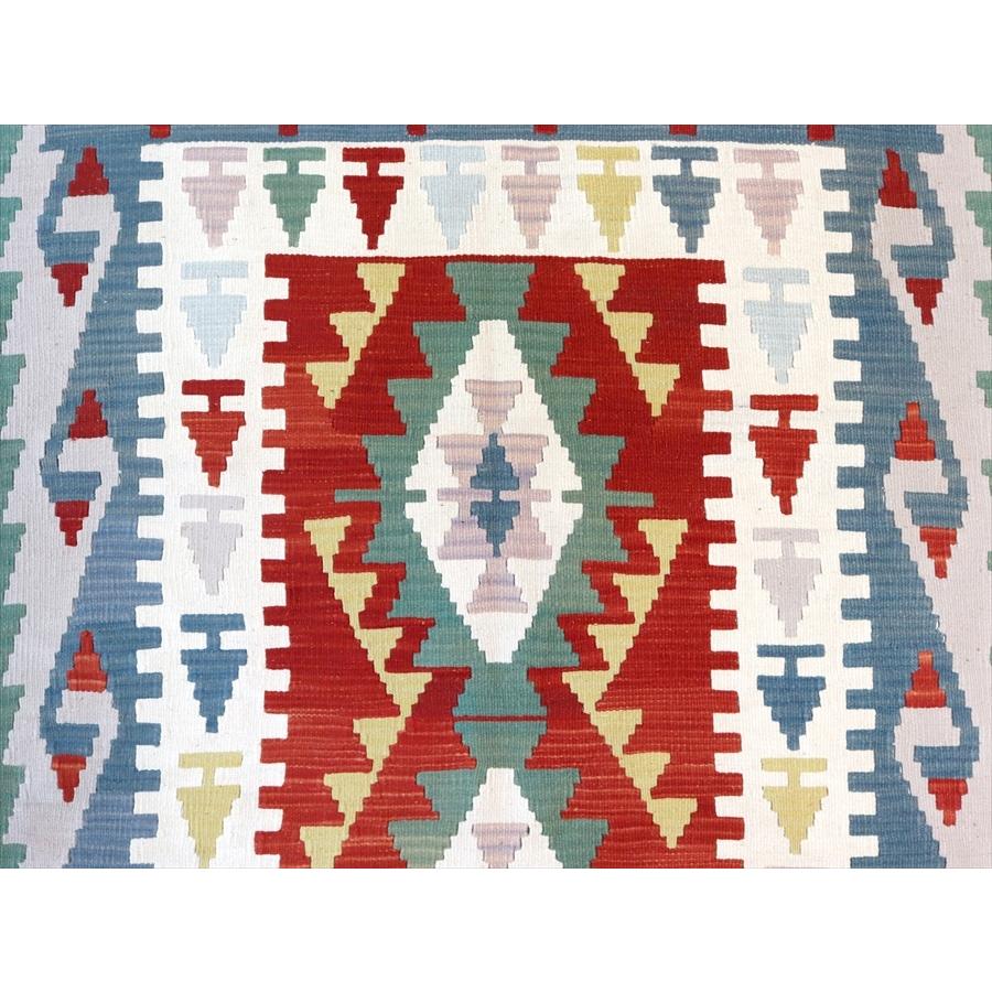 トルコの手織りキリム　セッヂャーデ 201x116cm イーブルアイのモチーフ | ブランド登録なし | 04