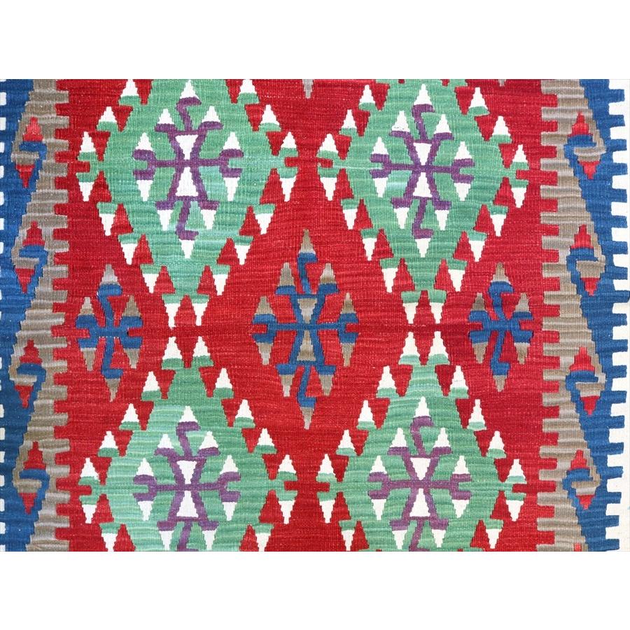 トルコの手織りキリム　カリヨラ 240x145cm 連なるドラゴンのモチーフ | ブランド登録なし | 04