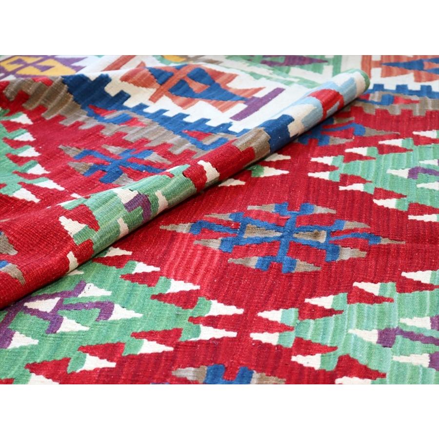 トルコの手織りキリム　カリヨラ 240x145cm 連なるドラゴンのモチーフ | ブランド登録なし | 06