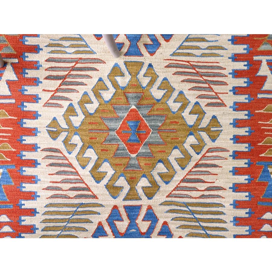 トルコの手織りキリム ウシャク 172x113cm ドラゴンのモチーフ | ブランド登録なし | 06