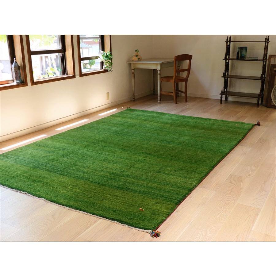 ギャッベ イラン産手織りラグ 300×200cm グリーン　シンプル　無地 |  | 01