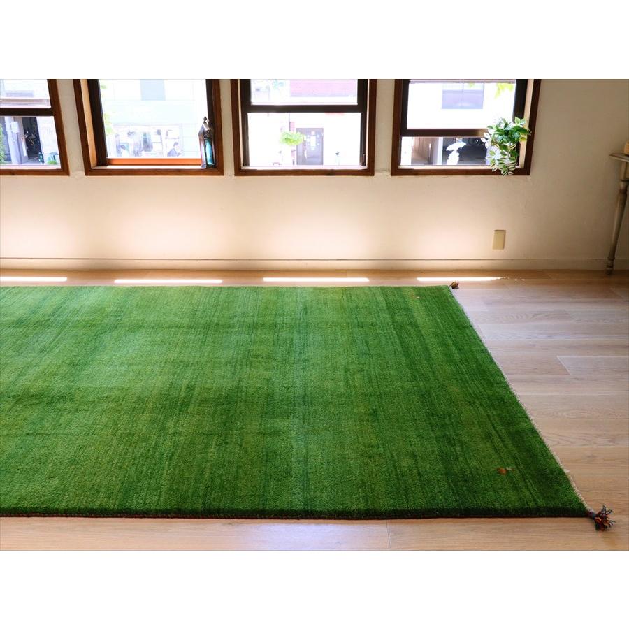 ギャッベ イラン産手織りラグ 300×200cm グリーン　シンプル　無地 |  | 03