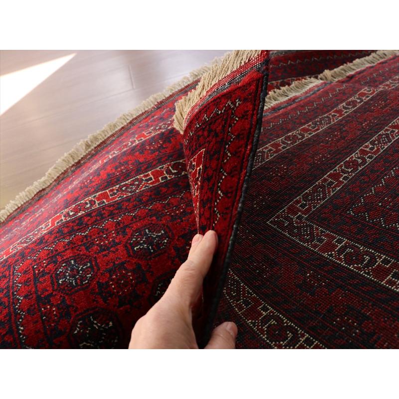 ホジャロシュナイ 手織り絨毯 194x98cm 緻密な織り レッドカーペット