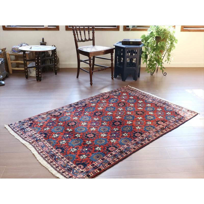 ペルシャ絨毯 ヴェラミン　手織りラグ  156x105cm  連なる花のラティス　Mina Khani | ブランド登録なし | 05