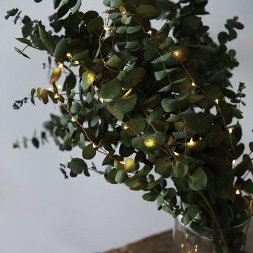 LEDストリングライト イルミネーションライト 10m 100球 ＵＳＢ接続式ＡＣアダプター付 | ブランド登録なし | 03