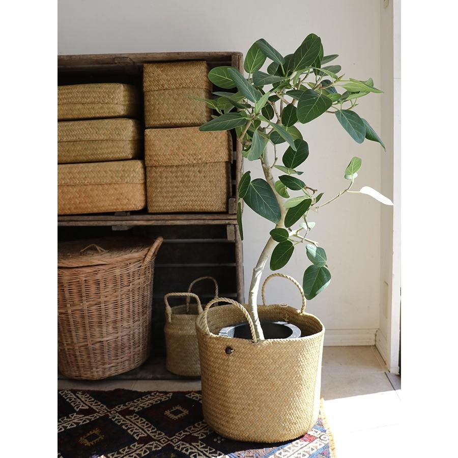 かごバッグ タイ製　ナチュラルカラー　カチュー水草　二重のラウンドバスケット 大　Basket Asian straw basket, Thailand | ブランド登録なし | 07