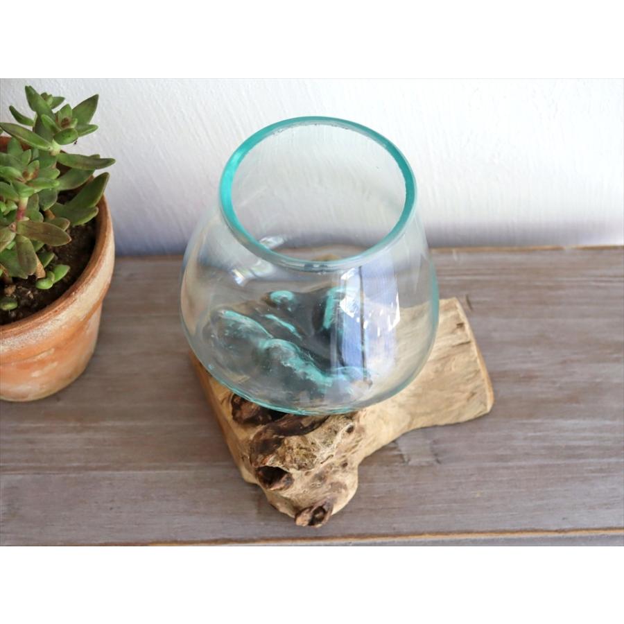 流木 フラワーベース 花瓶 H16×W14×D14cm ガラスベース glass planter/flower vase 【現品お届け】｜ipogabbeh｜05