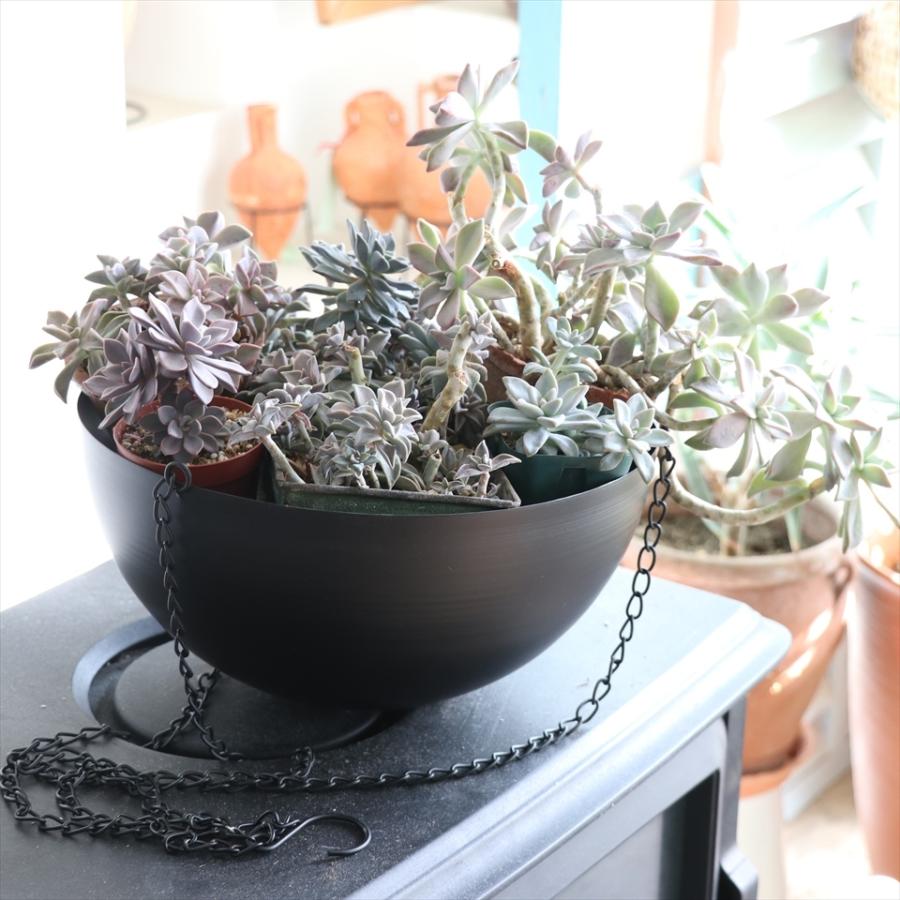 ハンギング　プランター/鉢カバー　アイアン　LLサイズ　直径30cm　ブラック |  | 02