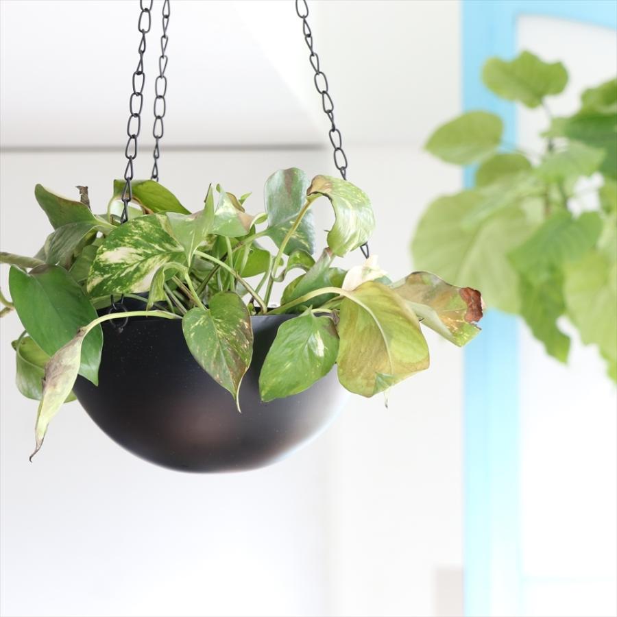 ハンギング　プランター/鉢カバー　アイアン　Sサイズ　直径15cm ブラック | 