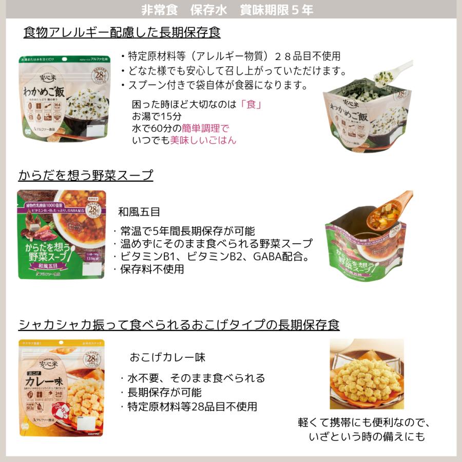 即納]防災セット 1人用 防災グッズ 25点セット 非常用持ち出し