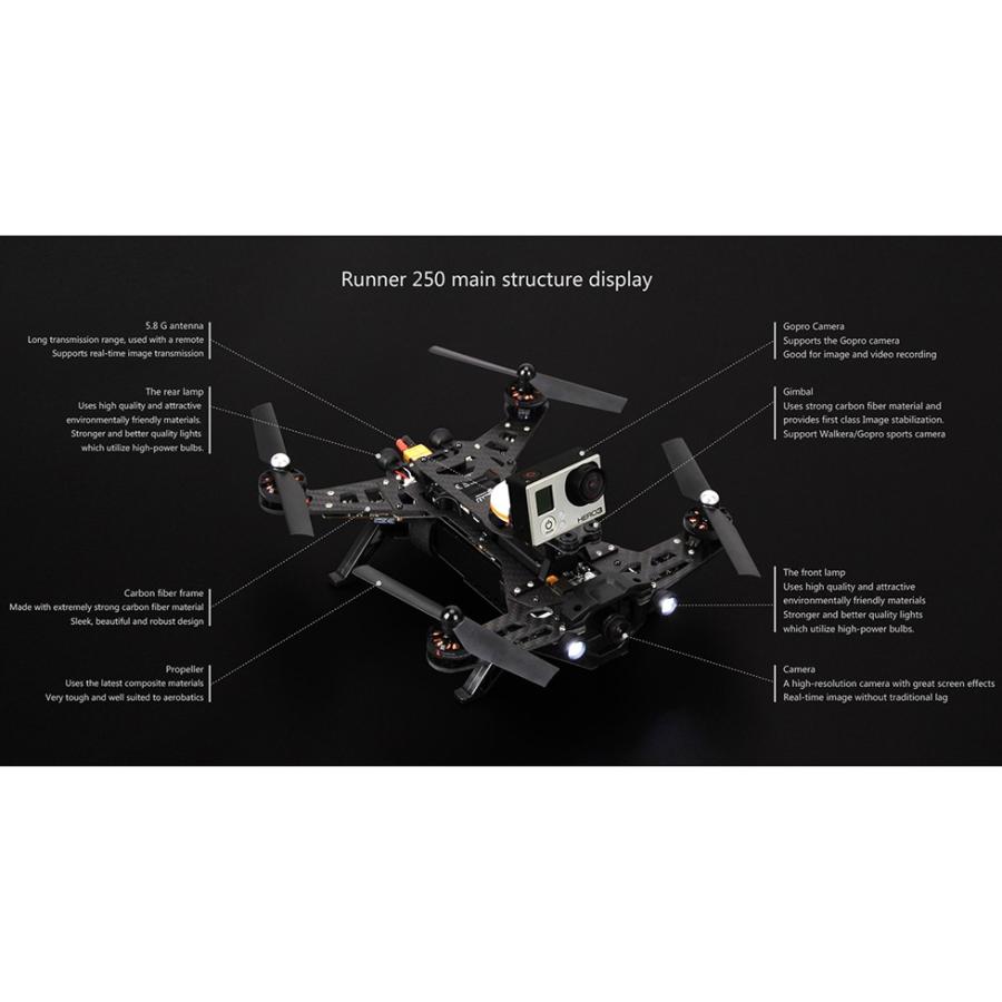 ＜ワルケラ正規代理店＞Walkera Runner 250 【ランナー250】＆DEVO 7＆Goggle2  RC クアッドコブター RTF 2.4GHz FPV Version | ワルケラ | 02