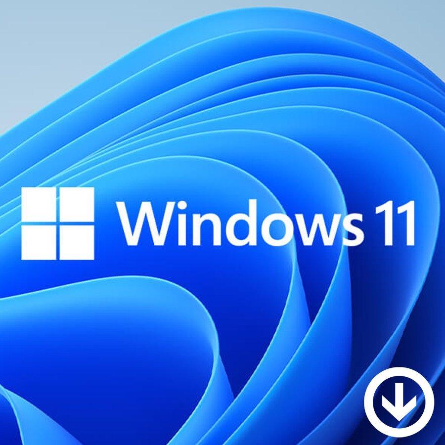 ウィンドウズ 11 Windows 11 pro プロダクトキーのみ [Microsoft] 1PC ダウンロード版 永続ライセンス・日本語版 代引き不可※