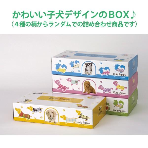 ボックスティッシュ 販促「CutePuppy 150W 60箱(5箱P×12セット)」4種
