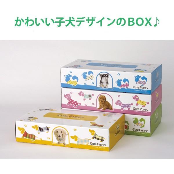 ボックスティッシュ 販促用 粗品 60箱(3箱P×20セット)「CutePuppy 150W