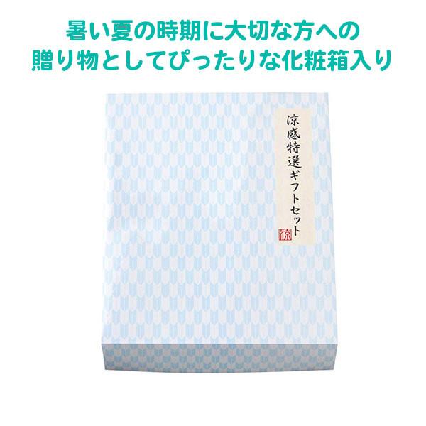 夏 販促品 景品 ハンディファン クールタオル 「涼感特選ギフトセット 60組」 記念品 箱入り ミニ扇風機 冷却 アウトドア 学生_5