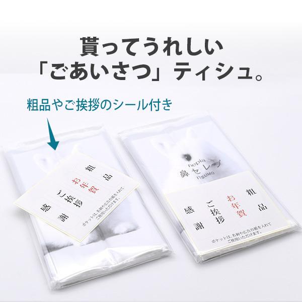 鼻セレブ ポケットティッシュ 「ネピア ITSUMO PLUS 48W 500個」大容量