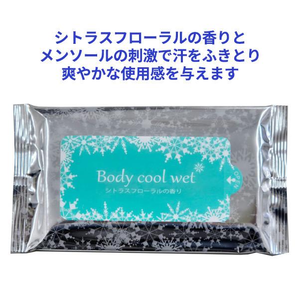 ウェットティッシュ 業務用 冷感「ボディクールウェット 10枚入×500個」香り付き まとめ買い 大量 ばらまき_2
