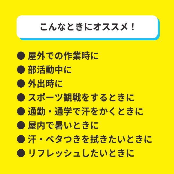 ウェットティッシュ 業務用 冷感「ボディクールウェット 10枚入×500個」香り付き まとめ買い 大量 ばらまき_4