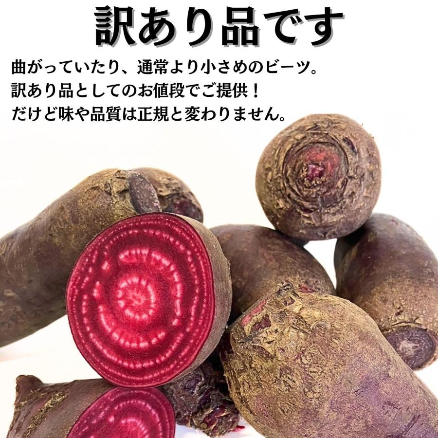 【無農薬ビーツ】10kg 訳あり 北海道産 ビーツ 野菜 10kg fresh beetroot 生ビーツ野菜