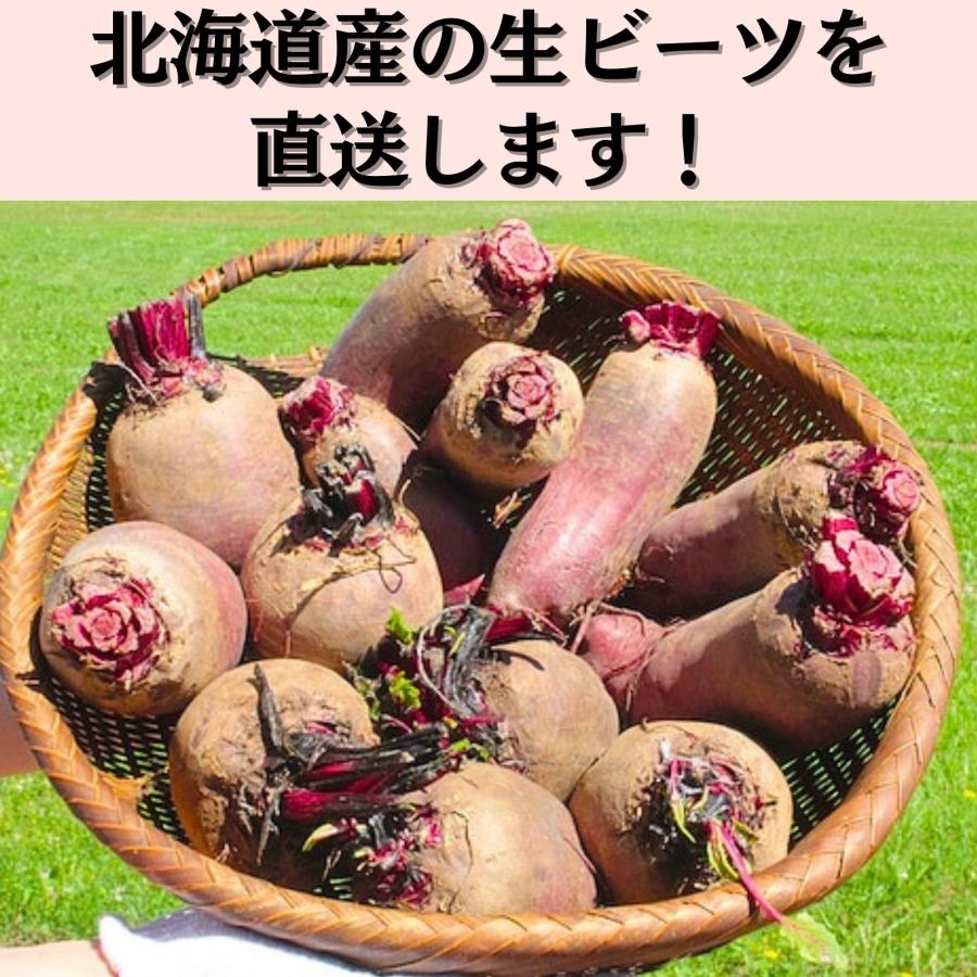 訳あり 北海道産 ビーツ 野菜 10kg fresh beetroot 生ビーツ野菜