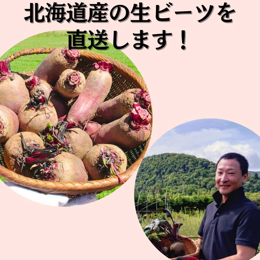 北海道産 ビーツ 野菜 5kg fresh beetroot 生ビーツ野菜 ビートルート