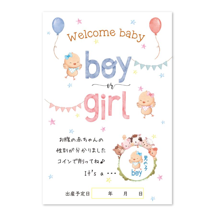 ジェンダーリビール カード 3枚 サプライズ 専用封筒付き 性別 発表 男の子 女の子 事前購入用（Yahoo!・いっぽ ウェディング）